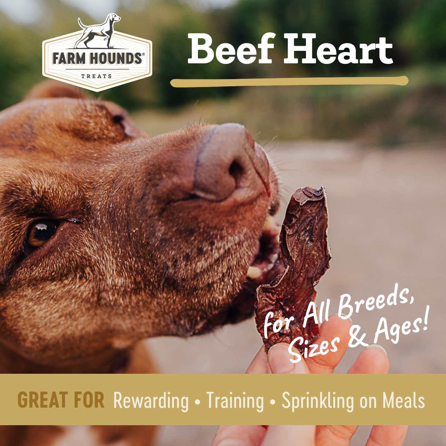 Farm Hounds beef heart jerky 4oz pack ready for training rewards