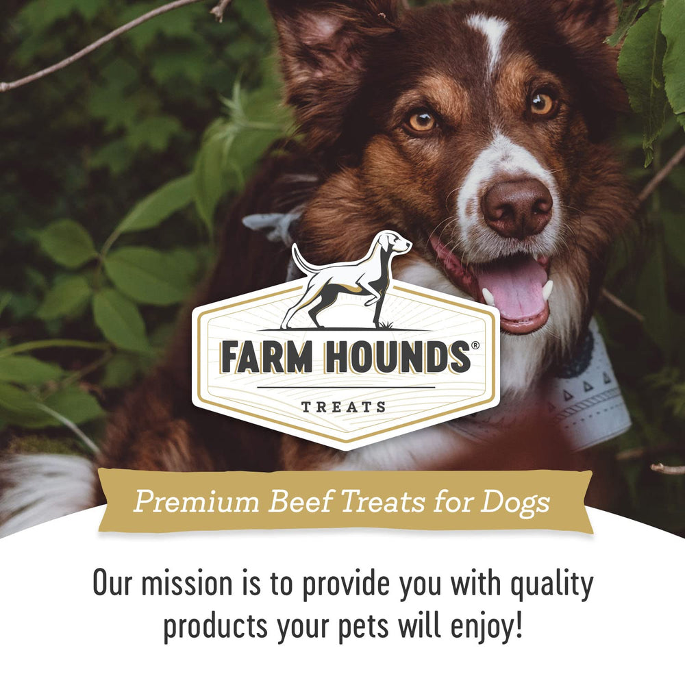 Farm Hounds Beef Liver Jerky dog-ready chews for training sessions.