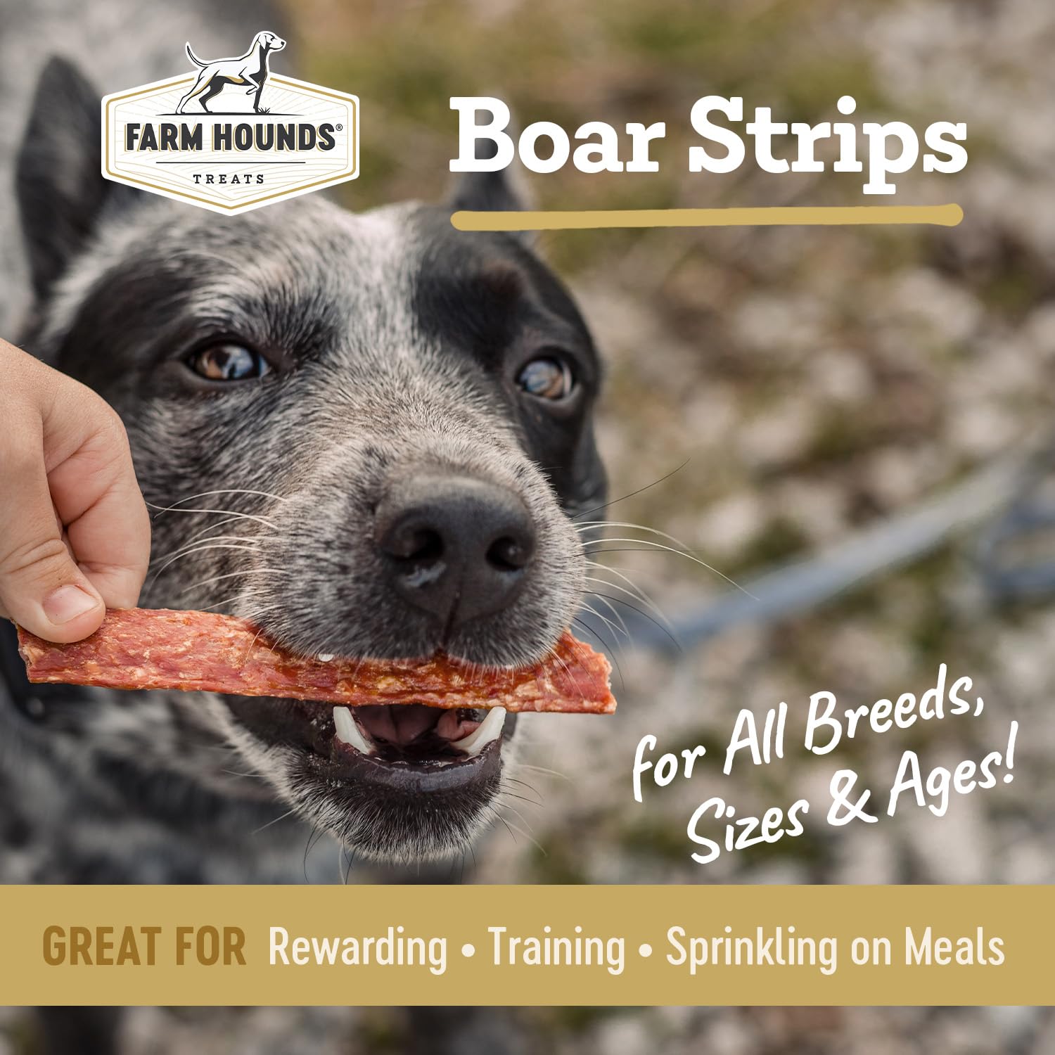 Farm Hounds Boars Strips closeup texture shows chewy bite