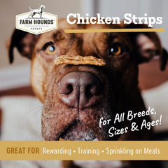 Farm Hounds Chicken Strips two-pack back view highlighting packaging