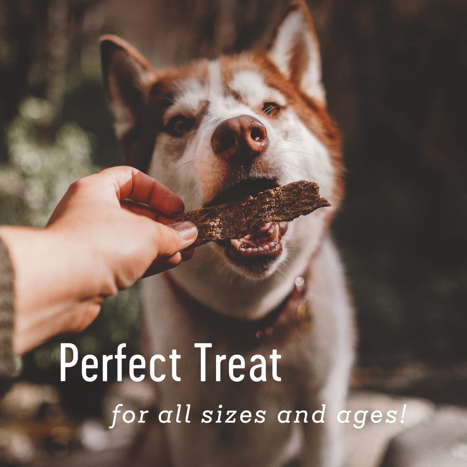 Farm Hounds tiras de pato, sabor suave para pelaje saludable