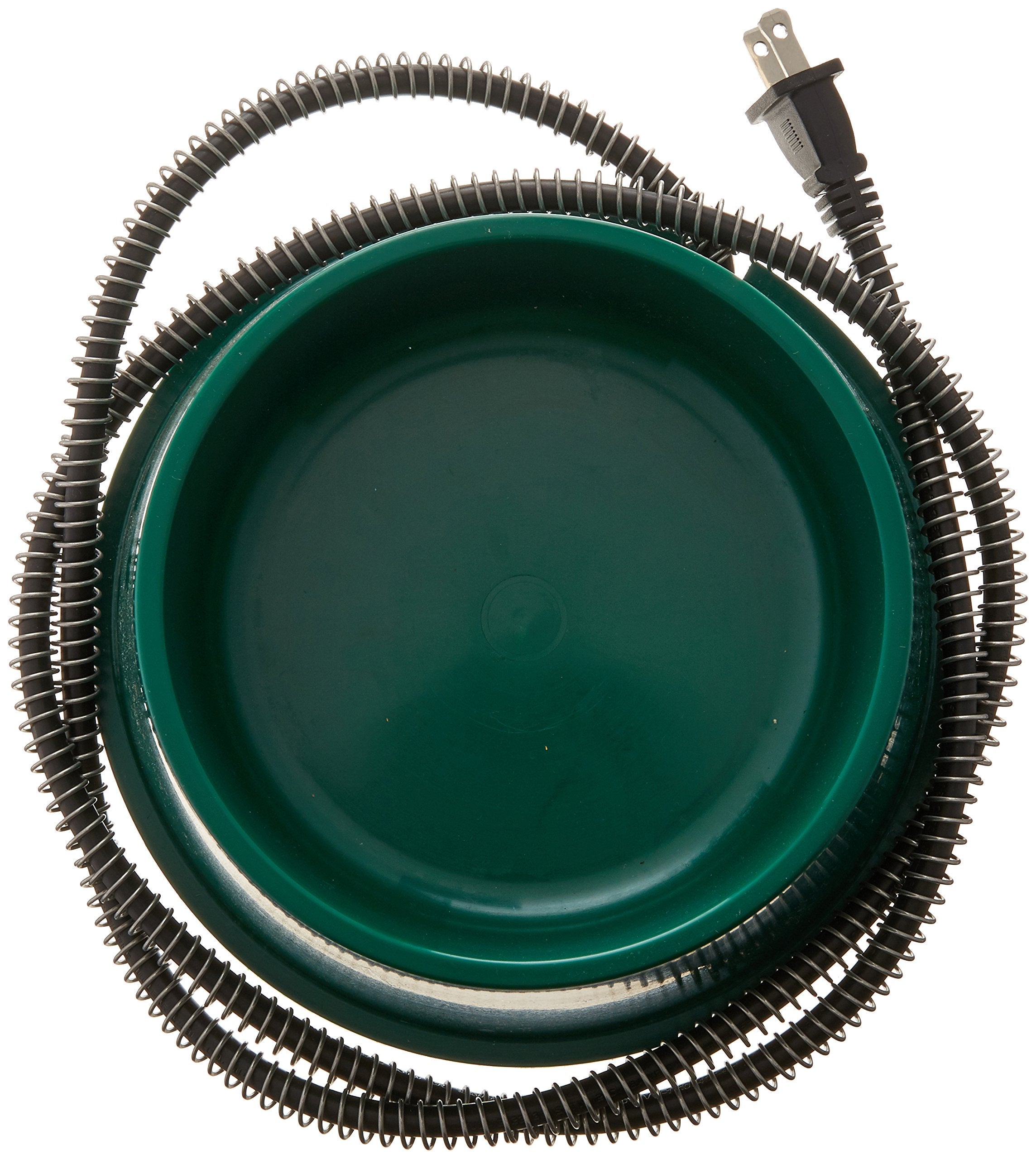 Farm Innovators heated 1-quart pet bowl in use, thermostatically controlled warmth.