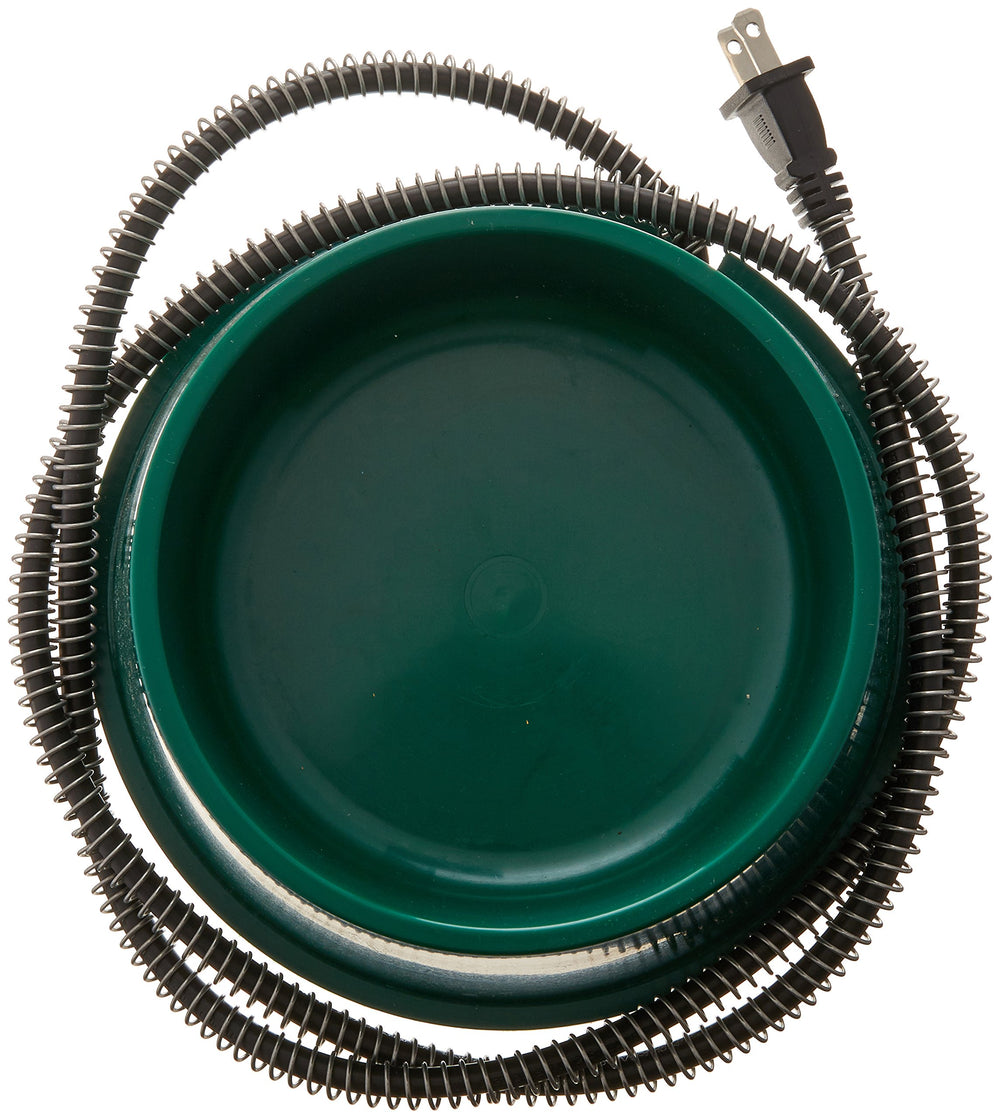 Farm Innovators heated 1-quart pet bowl in use, thermostatically controlled warmth.