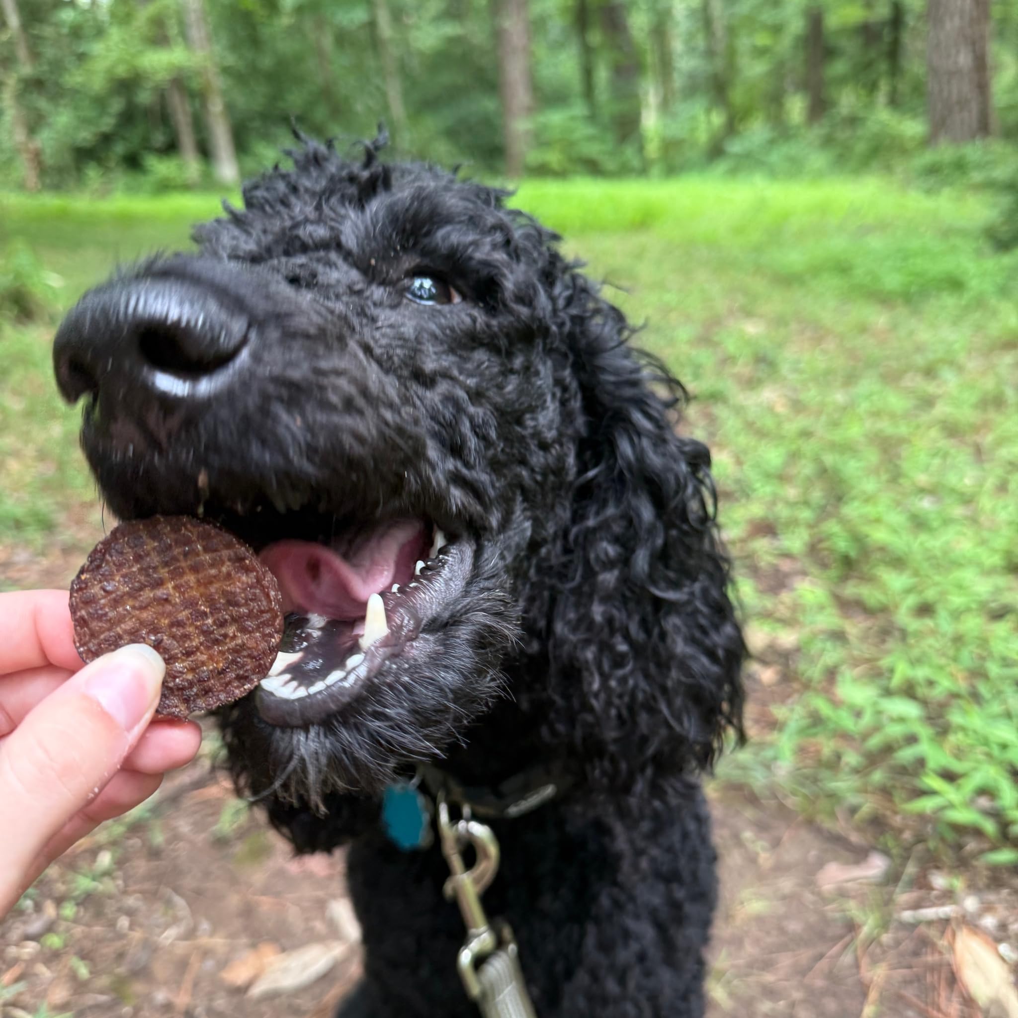 Farm To Pet beef chips suitable for all breeds and sizes during training