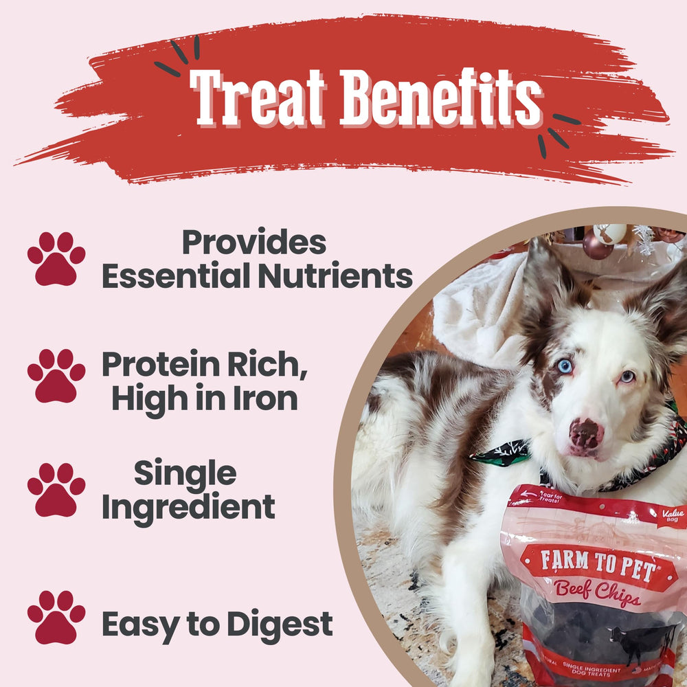 Farm To Pet beef chips puppy serving shot demonstrates training-friendly portions