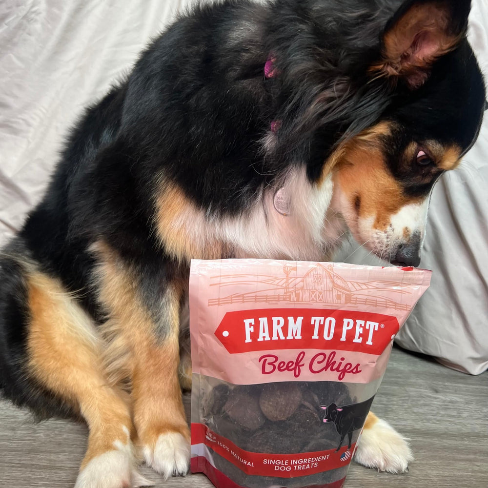 Farm To Pet beef chips USA-sourced beef image emphasizes country of origin
