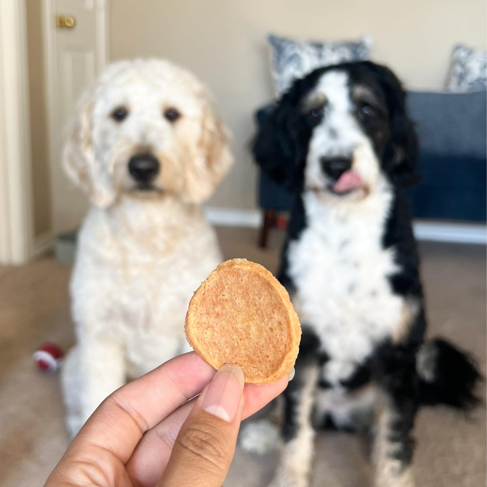 Farm To Pet crunchy dog treats chicken, universally loved across breeds