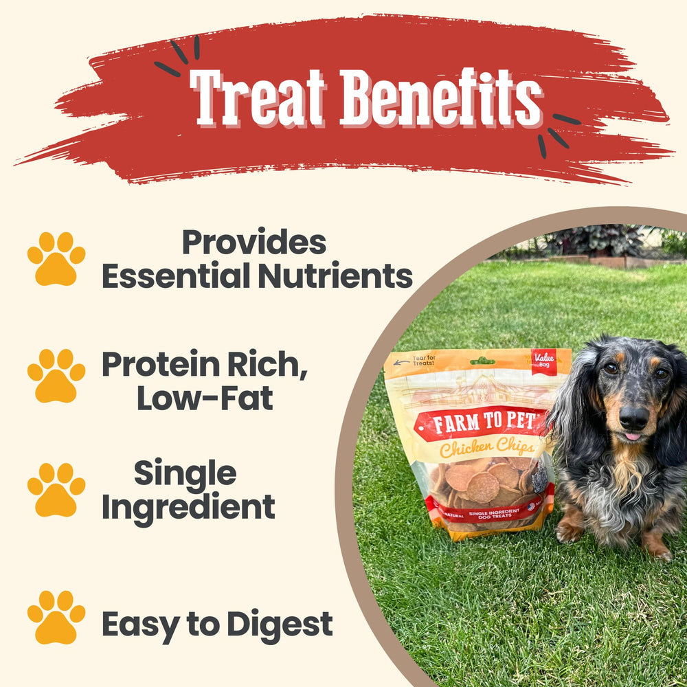 Farm To Pet dehydrated chicken chips close-up, crunchy texture dogs love