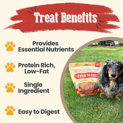 Farm To Pet dehydrated chicken chips close-up, crunchy texture dogs love