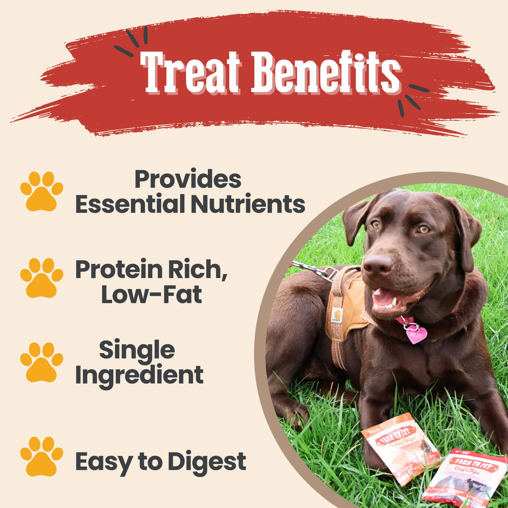 Farm To Pet beef chips close-up highlighting single-ingredient nutrition for training rewards