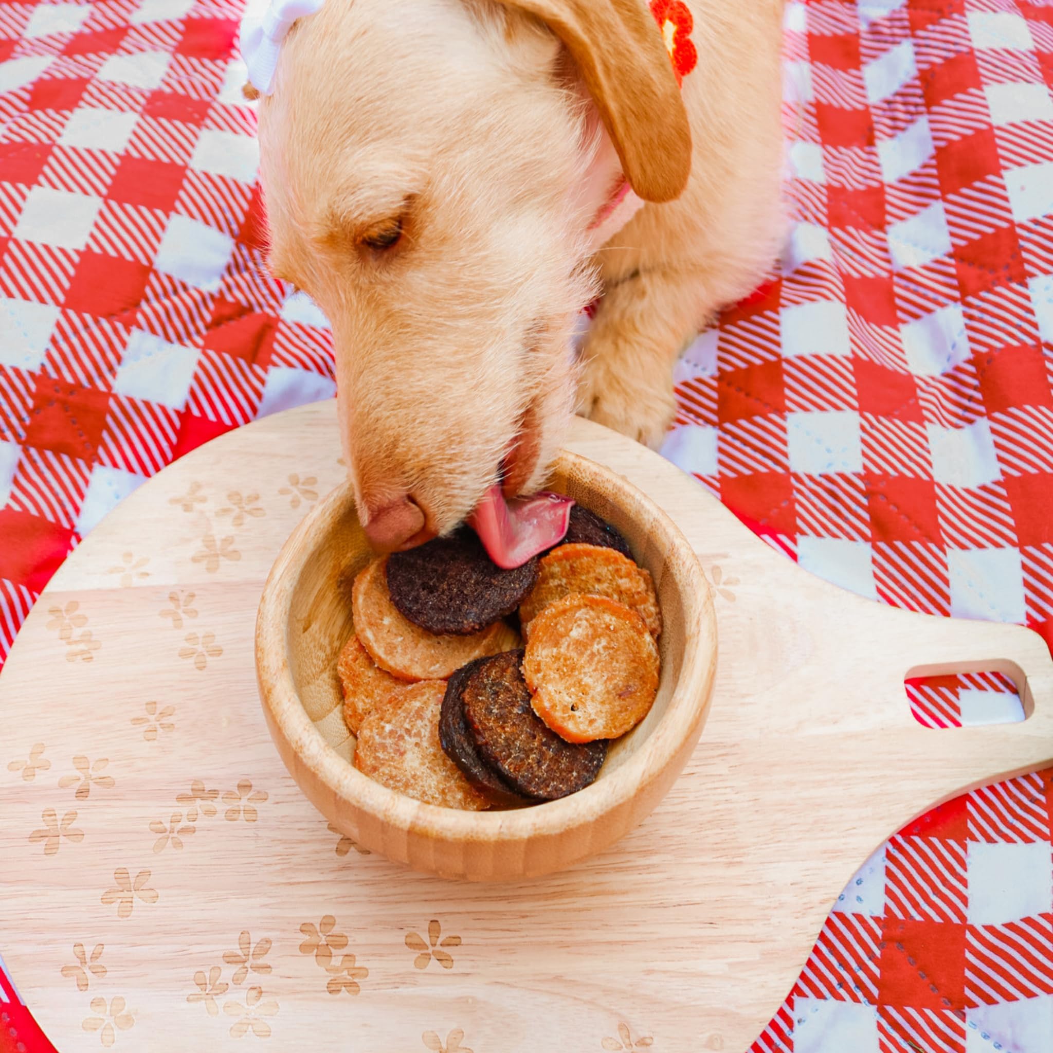 Farm To Pet turkey chips close-up highlighting single-ingredient nutrition for sensitive stomachs