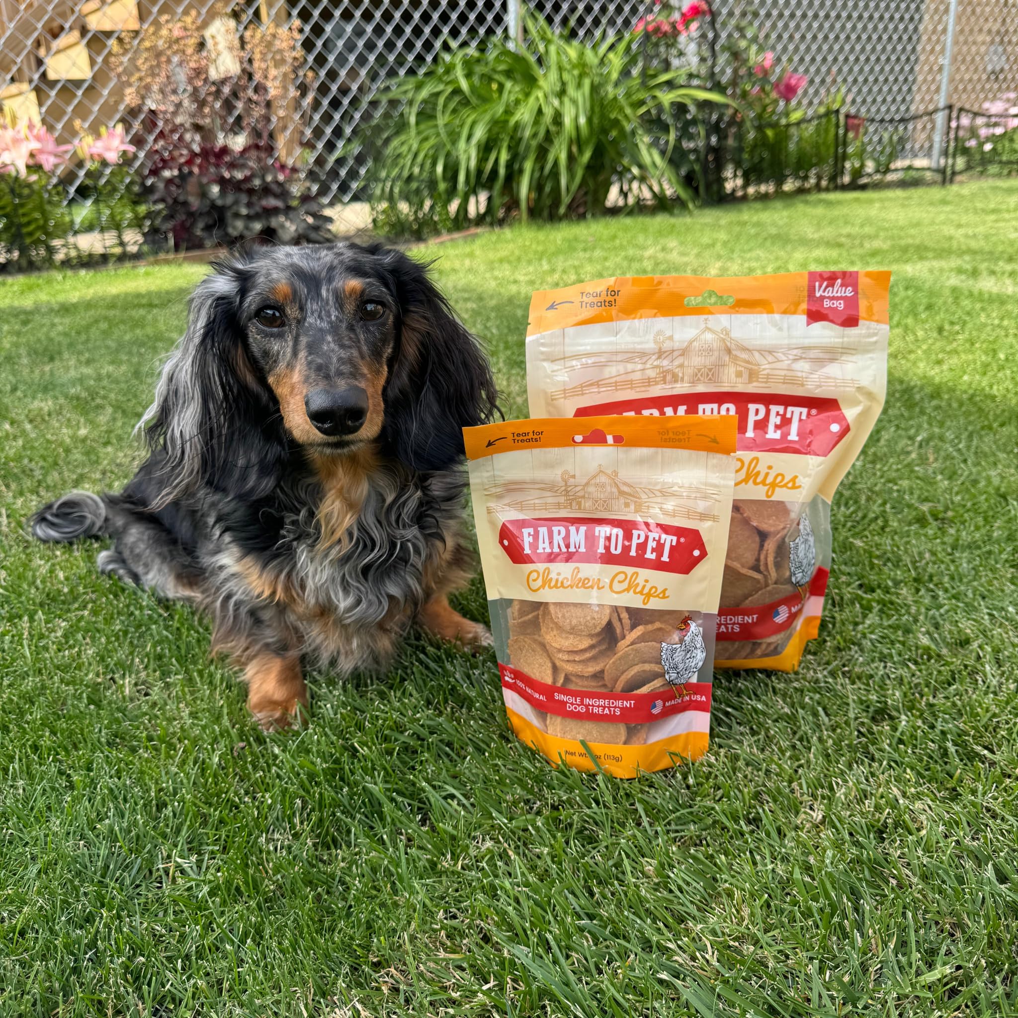 Farm To Pet puppy training chicken chips, high protein for puppies