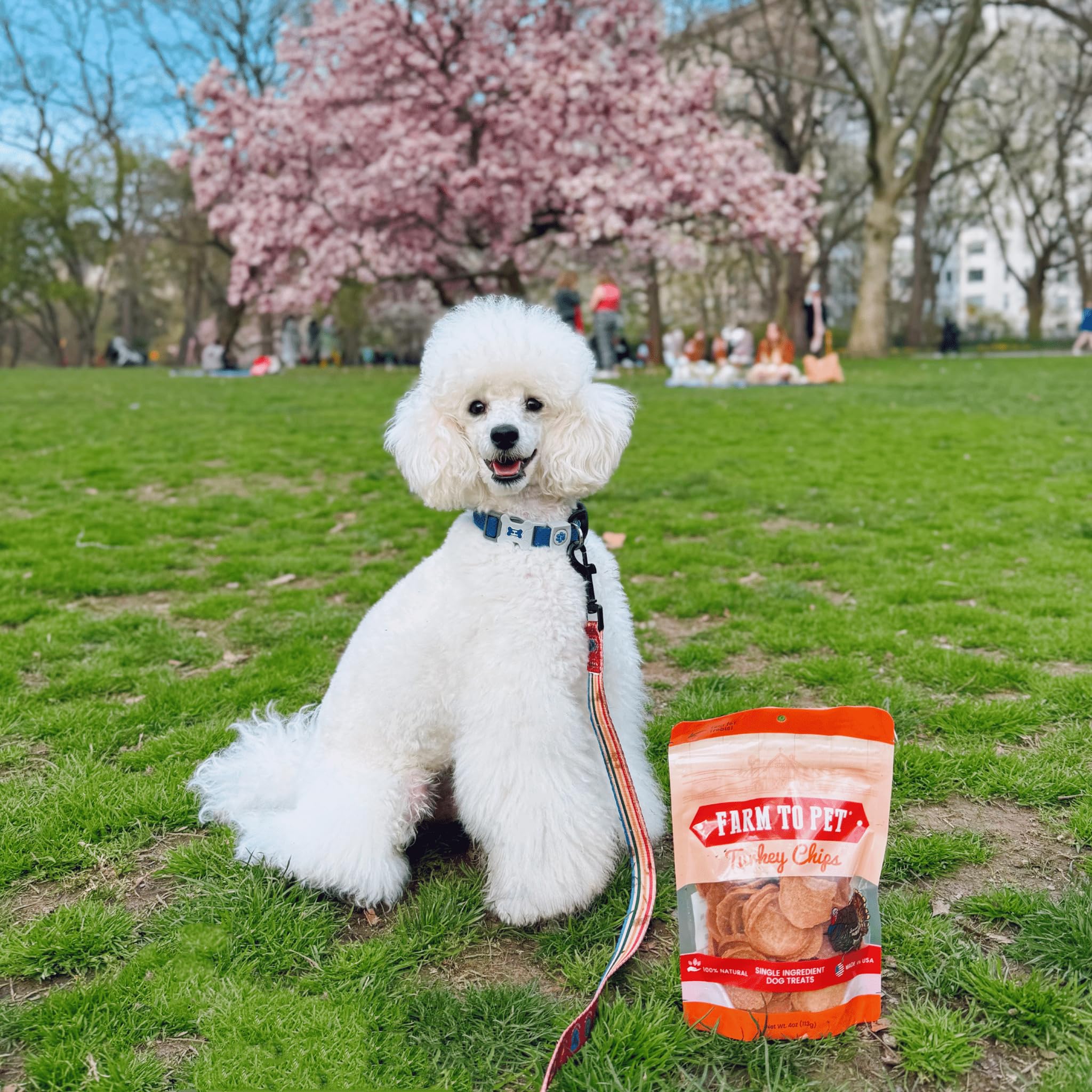 Farm To Pet single-ingredient dog treats ideal for training sessions.