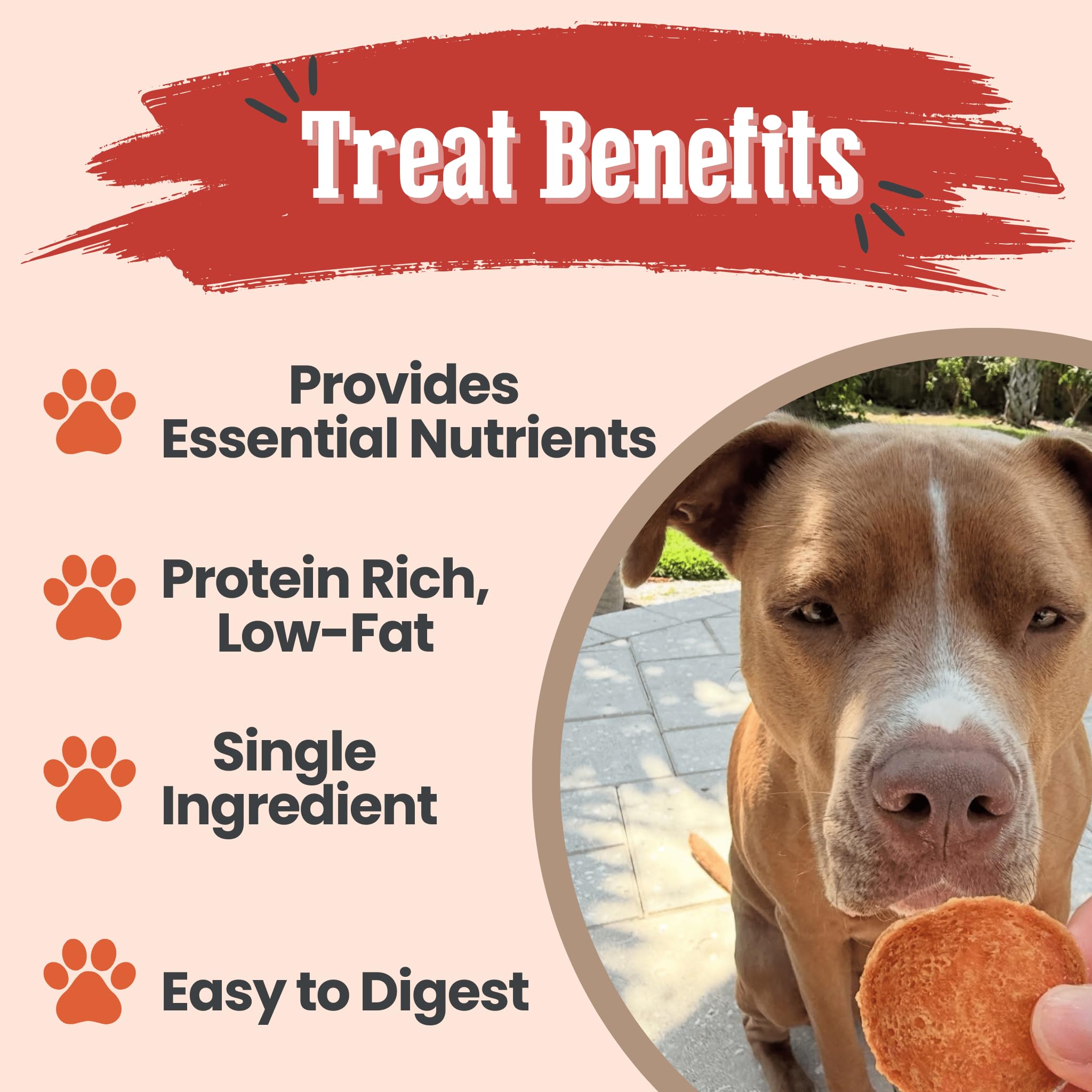 Farm To Pet turkey chips on a clean tray highlighting all-natural nutrition.