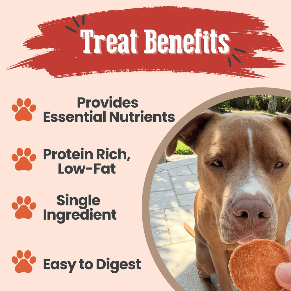 Farm To Pet turkey chips on a clean tray highlighting all-natural nutrition.