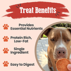 Farm To Pet turkey chips on a clean tray highlighting all-natural nutrition.