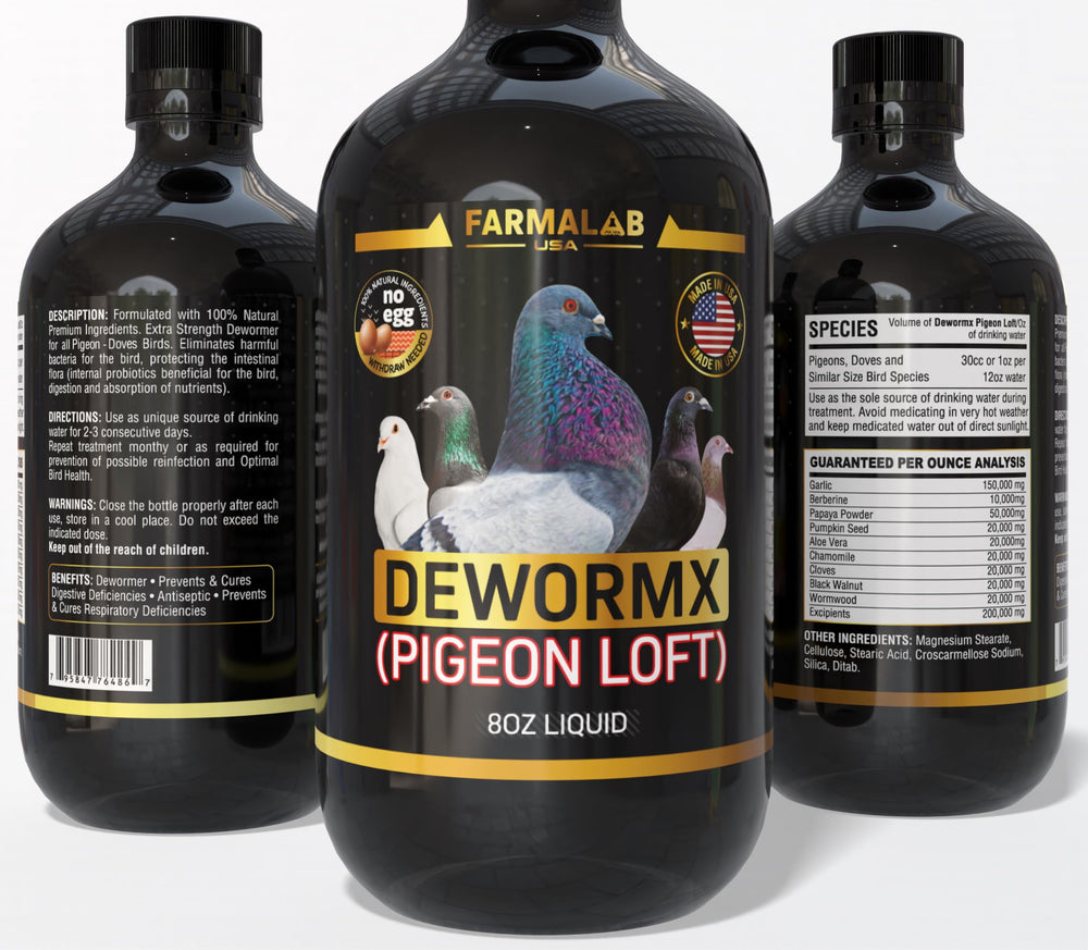 Farmalab B15B12 endurance formula indicating sustained stamina for races