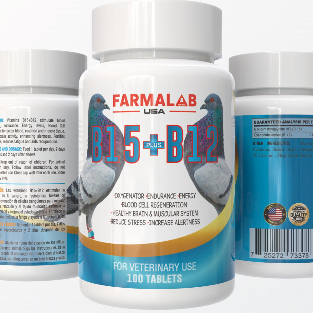 Farmalab B15B12 pigeon tablets bottle shows energy support for racing pigeons