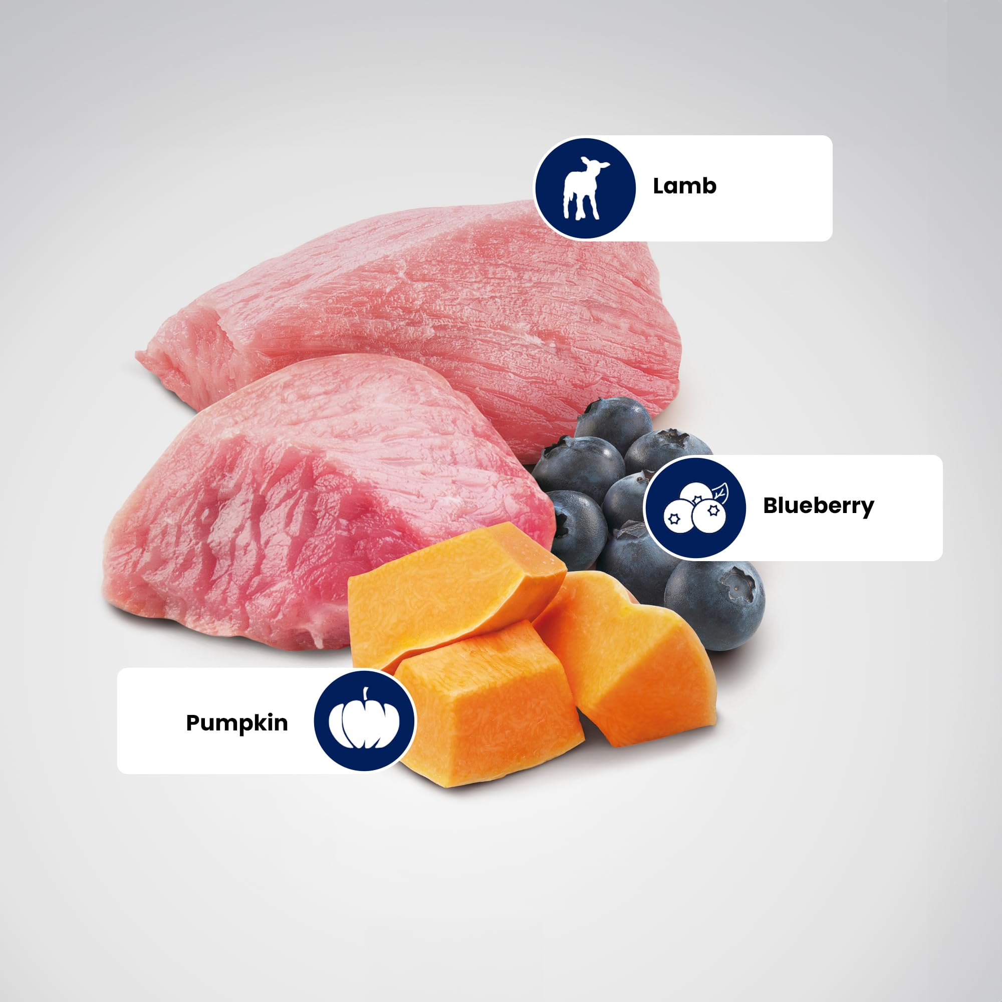 Farmina Dry Mini Puppy ingredients panel highlighting lamb pumpkin blueberry