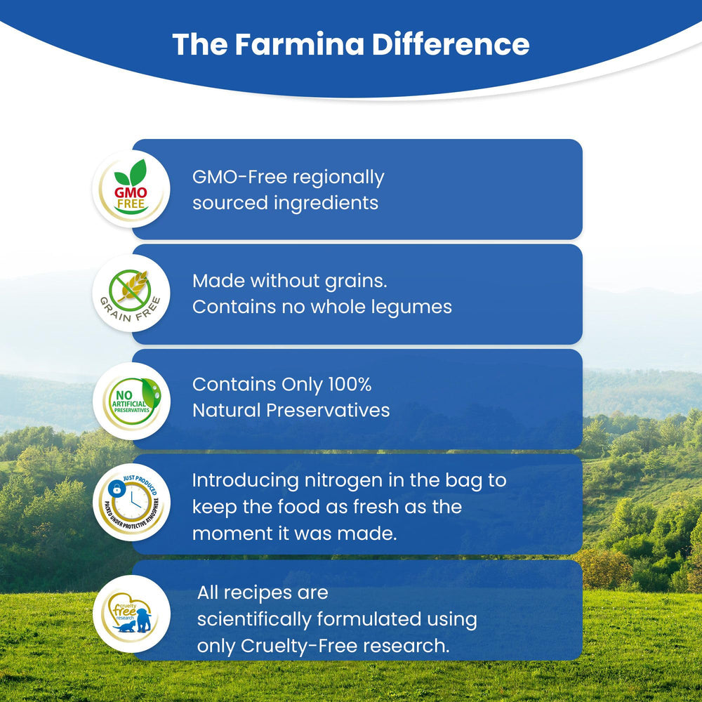 Farmina grain-free formula graphic showing no grains or GMOs.