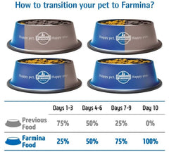 Farmina N&D Ancestral Grain dog bowl scene for feeding.