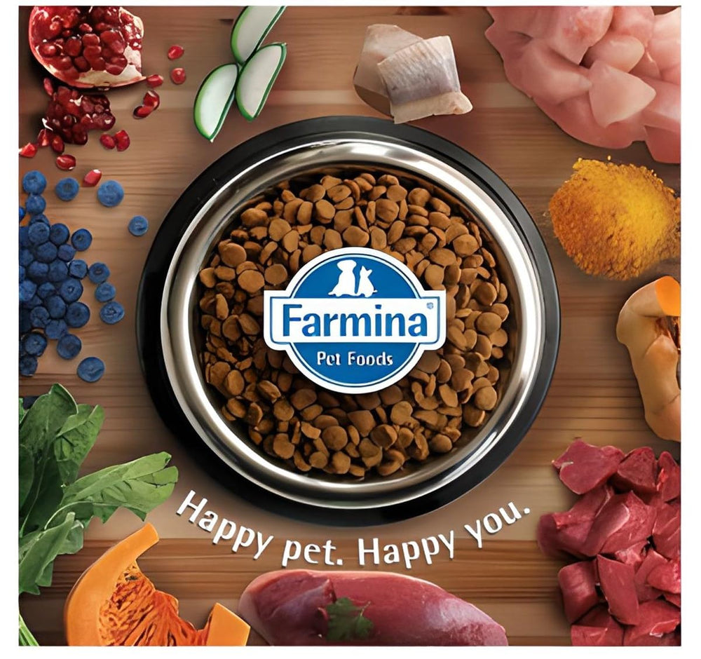 Farmina N&D Ancestral Grain pumpkin blueberry dog meal with fiber.