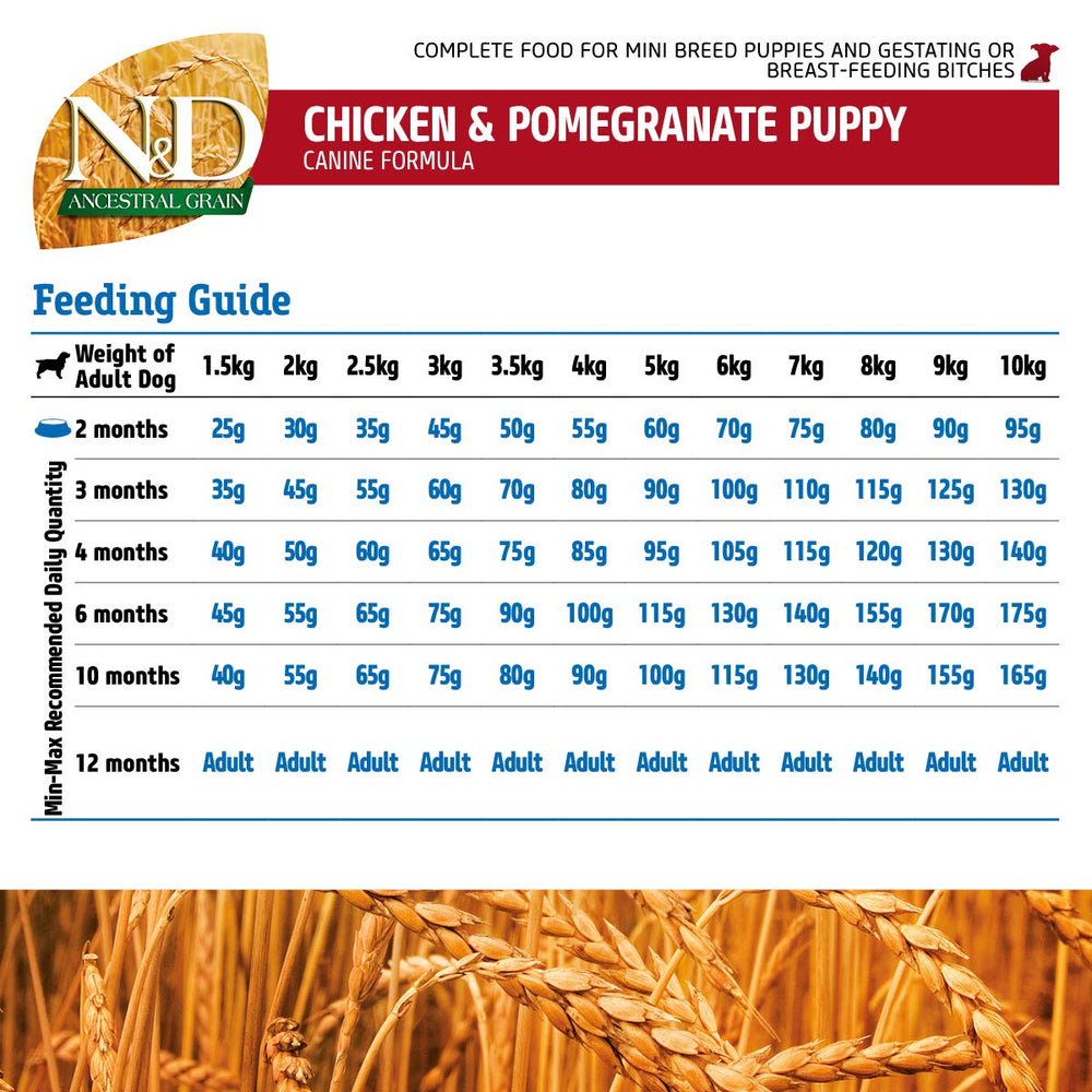 Farmina chicken-pomegranate-kibble-texture emphasizes crunch and digestibility.