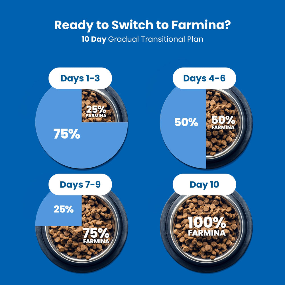 Natural ingredients like aloe vera and rosemary in Farmina Skin & Coat kibble.