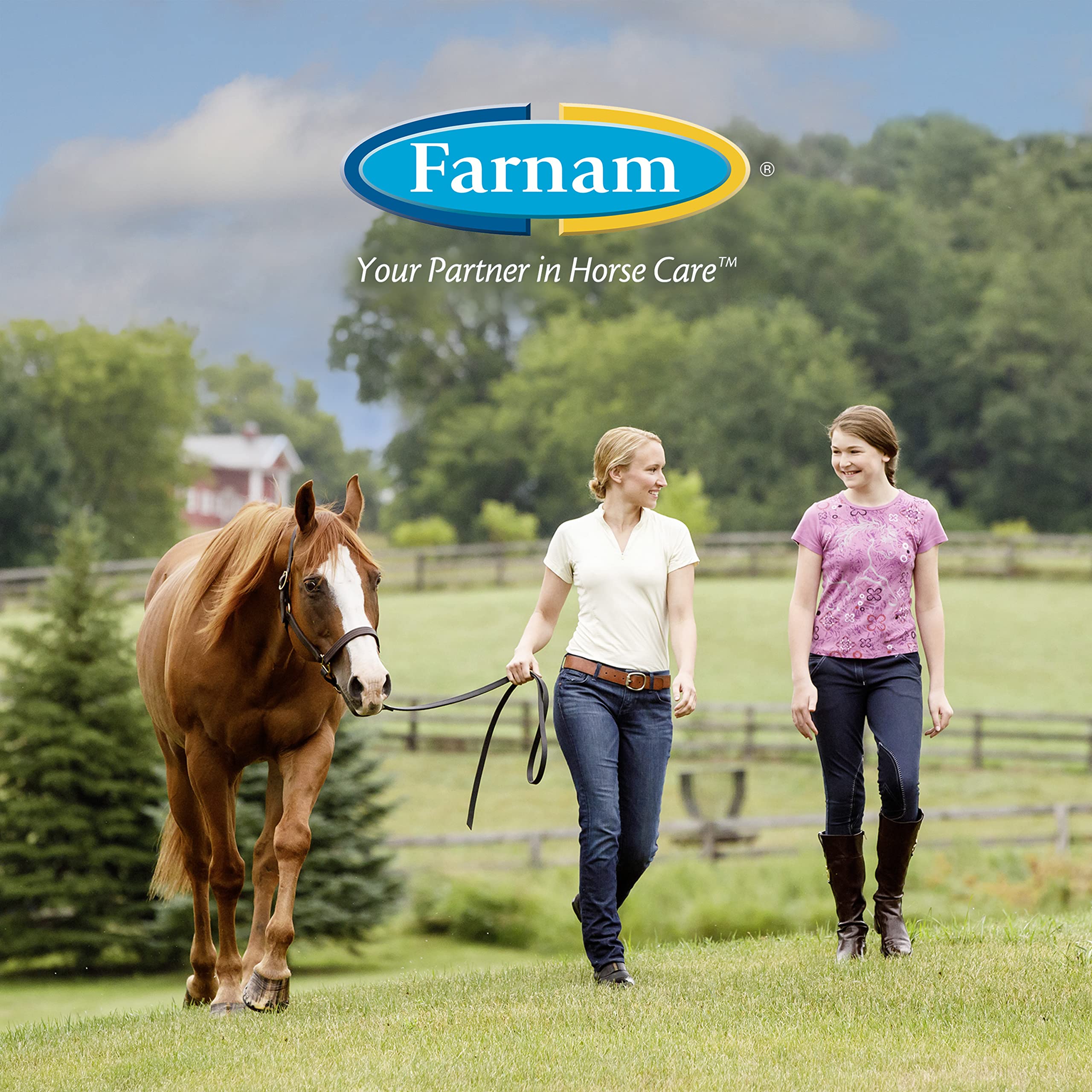 Farnam Horseshoer's Secret Extra Strength packaging display—trusted hoof care by farriers.