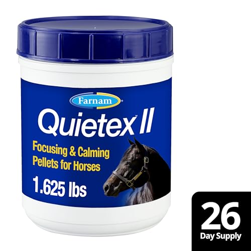 Farnam Quietex II in stable during ride showing calm focus