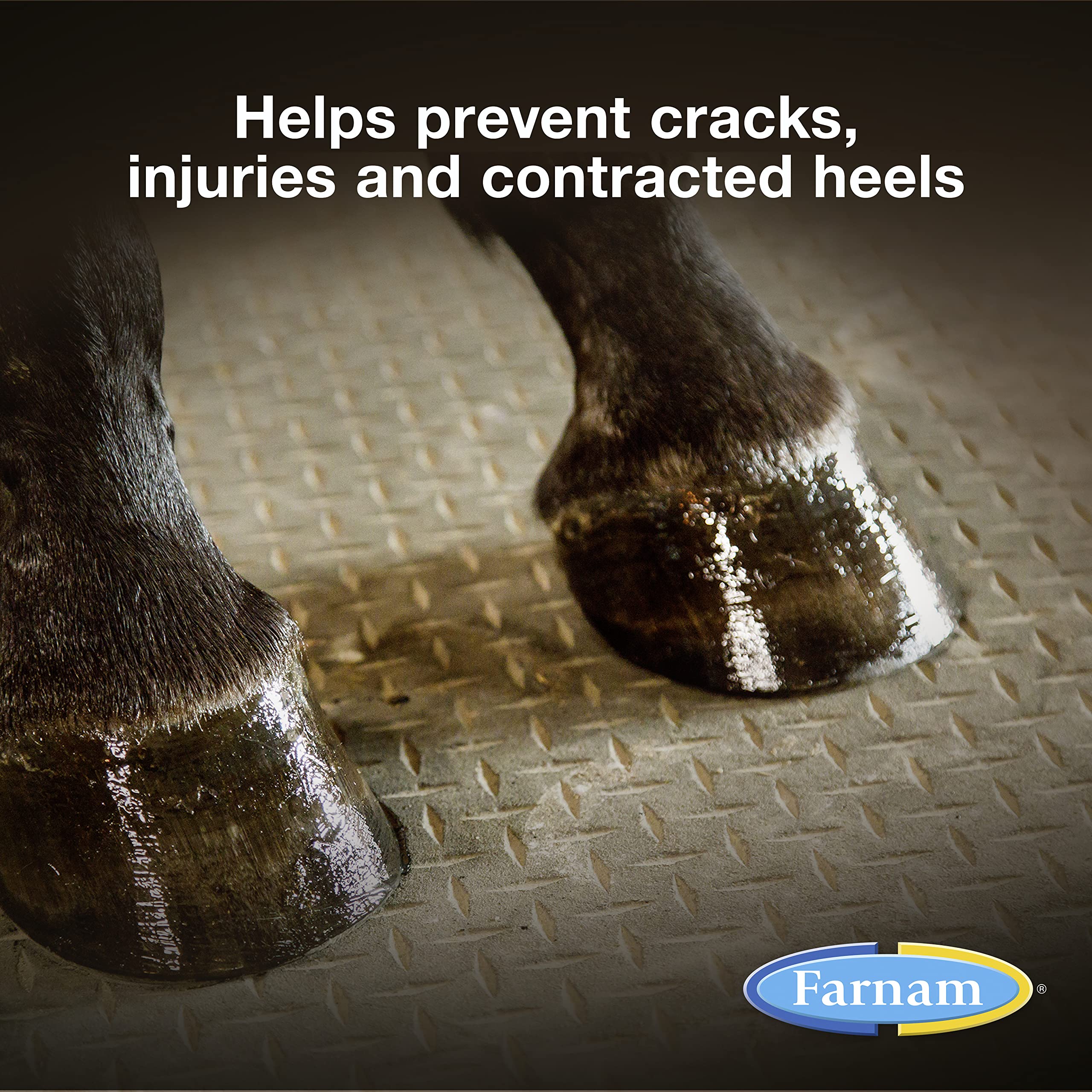 Farnam Rain Maker hoof oil brush for seamless application on soles and heels.