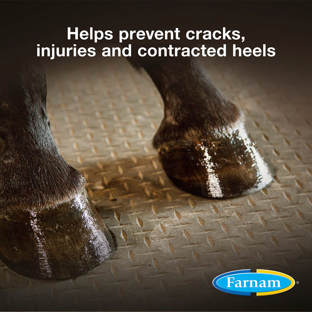 Farnam Rain Maker hoof oil brush for seamless application on soles and heels.