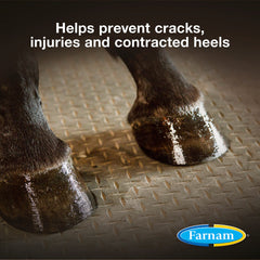 Farnam Rain Maker hoof oil brush for seamless application on soles and heels.