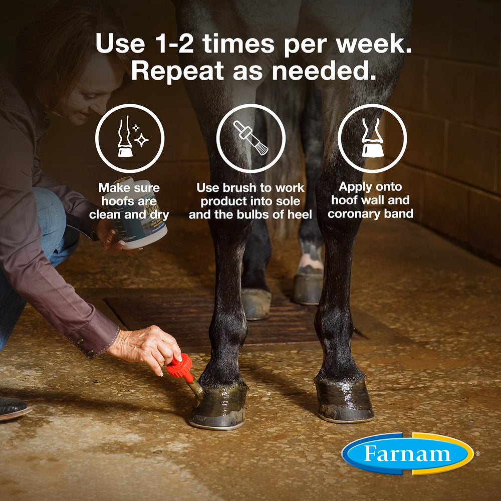 Farnam Rain Maker hooves with natural gloss and color enhancement after treatment.