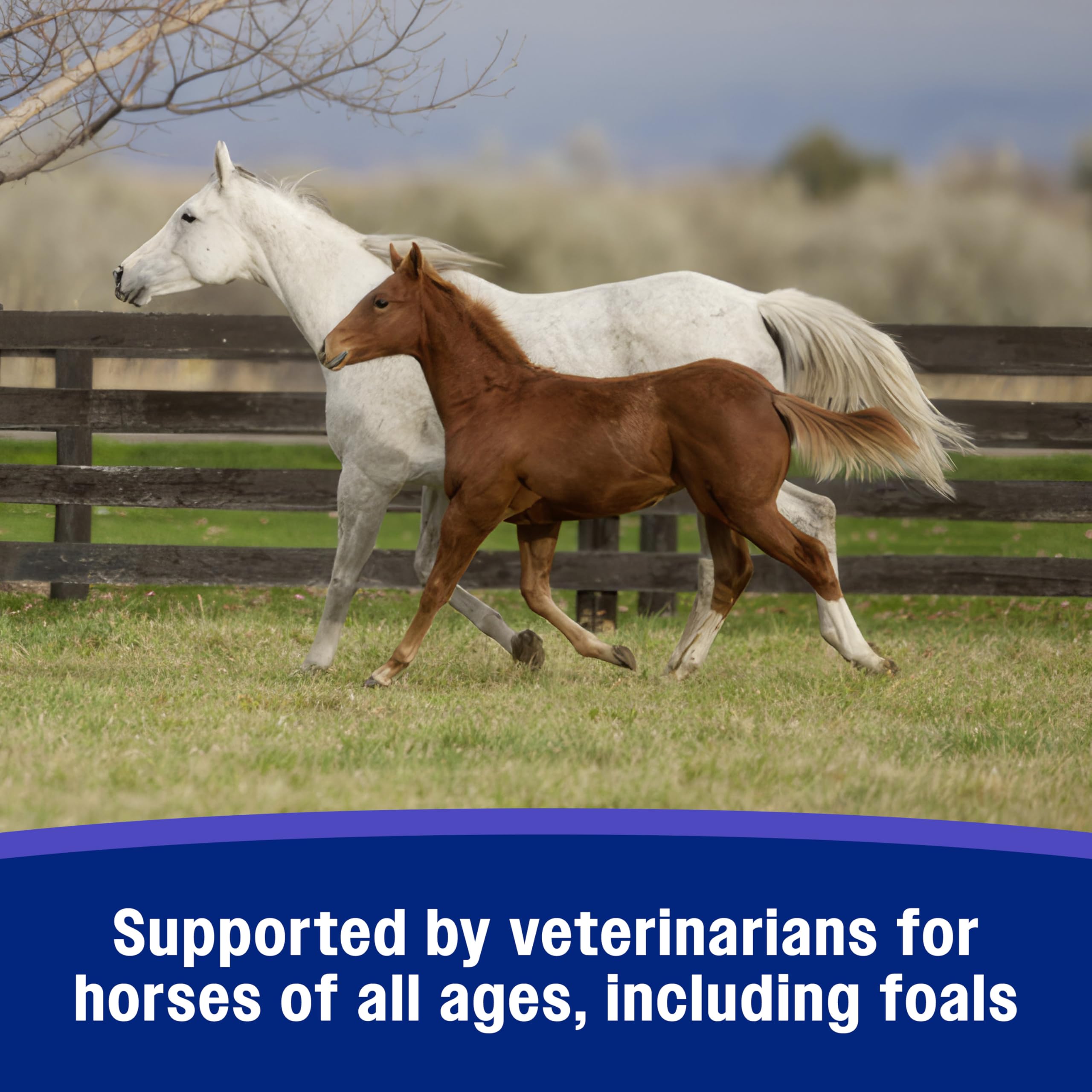 Farnam SandClear Crumbles vet-endorsed label for all ages