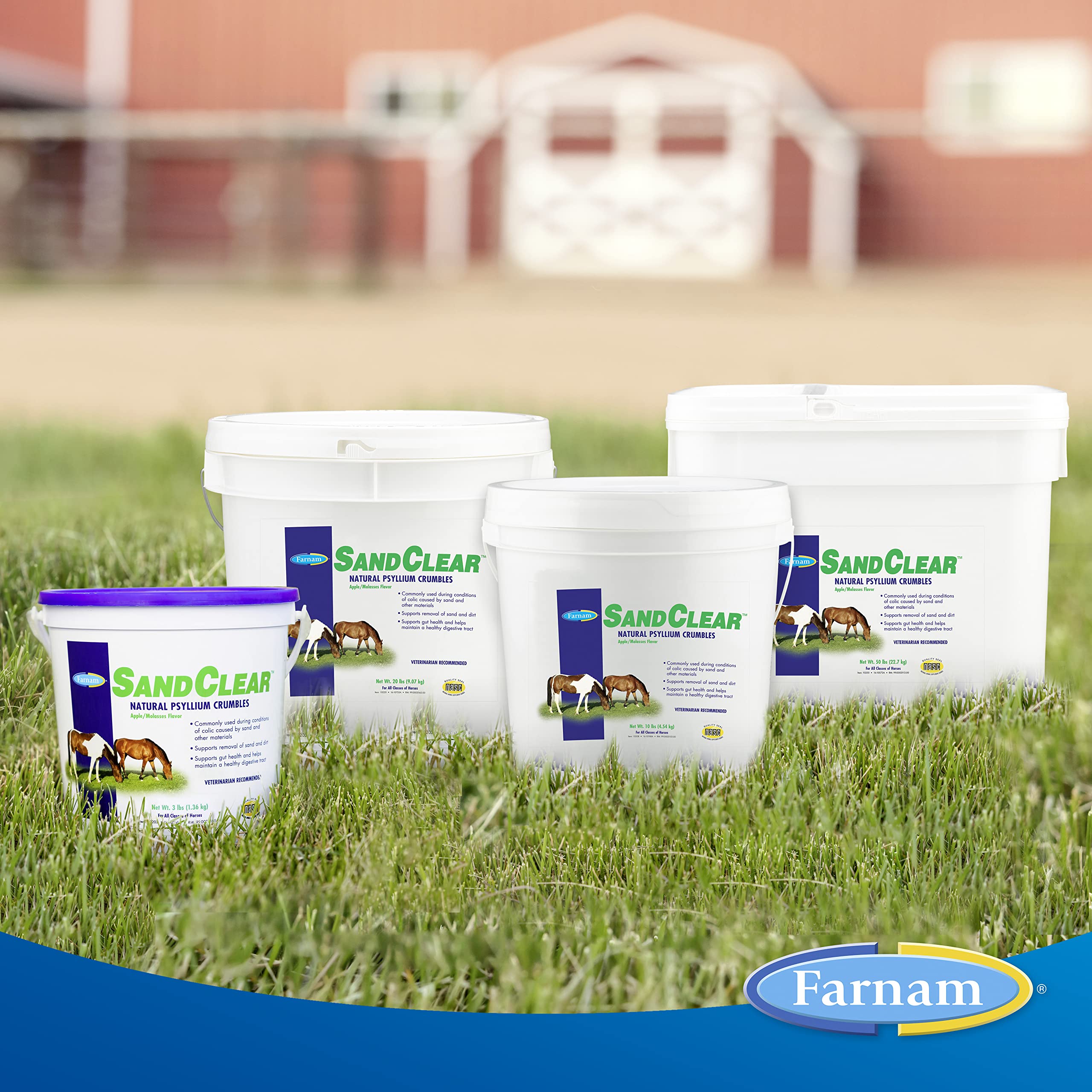 Farnam SandClear in stable with horse, supporting comfortable digestion.