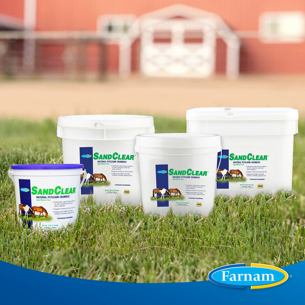 Farnam SandClear in stable with horse, supporting comfortable digestion.