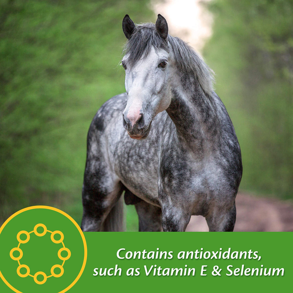 Farnam Vita Plus horse-feeding-bowl shows easy integration into meals.
