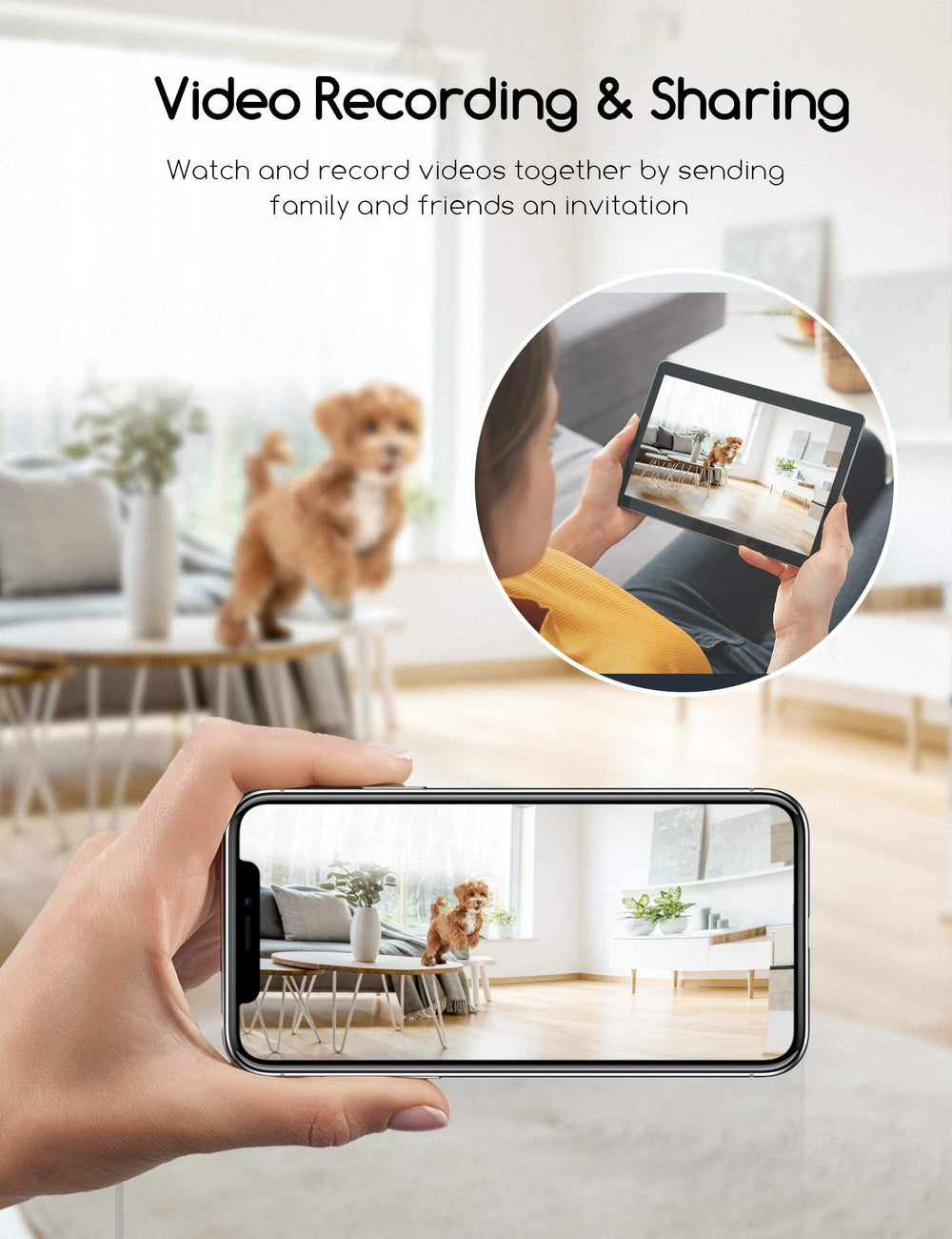 faroro dog camera motion alert keeps you informed of home activity