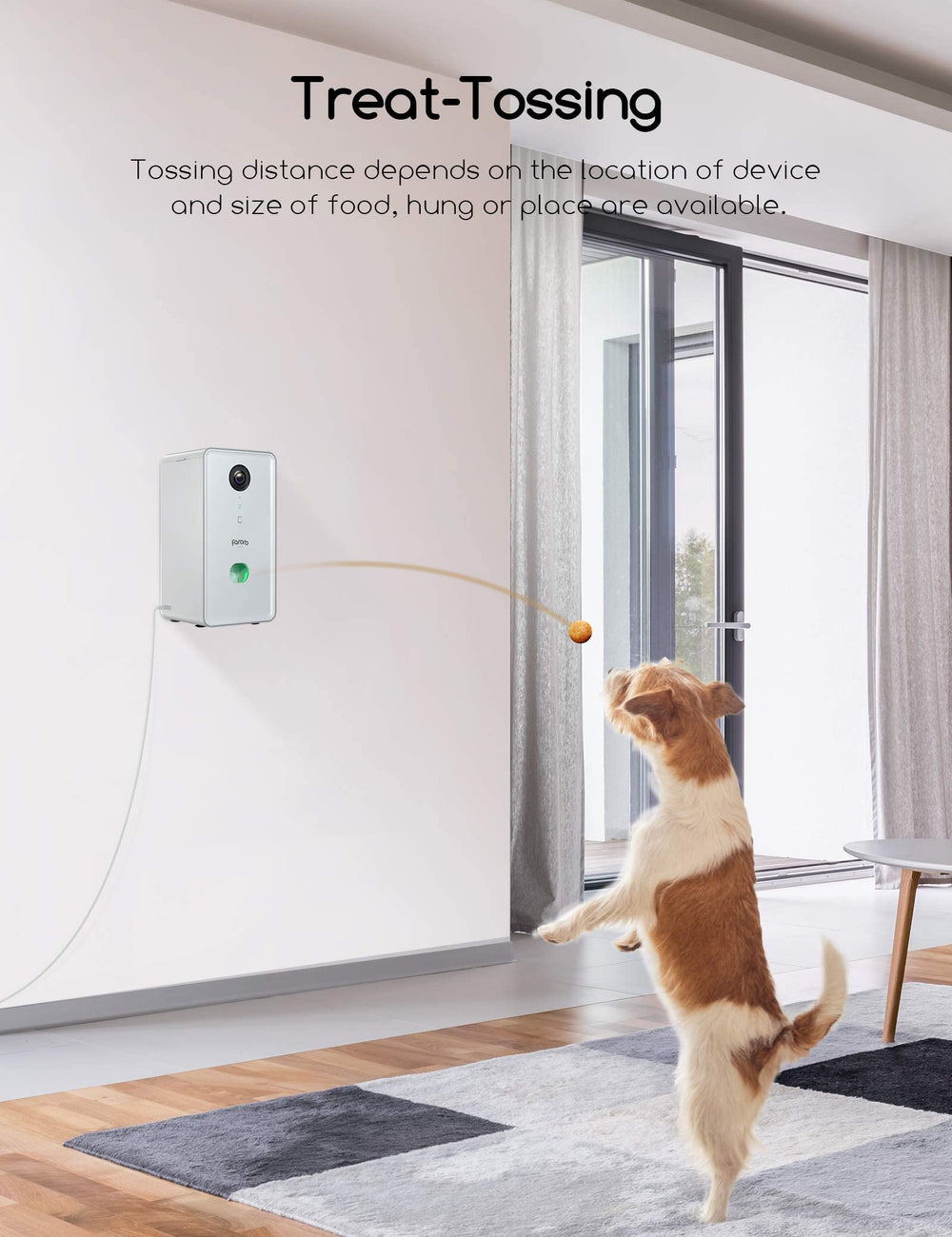 faroro dog camera treat-dispense top view shows compact placement options