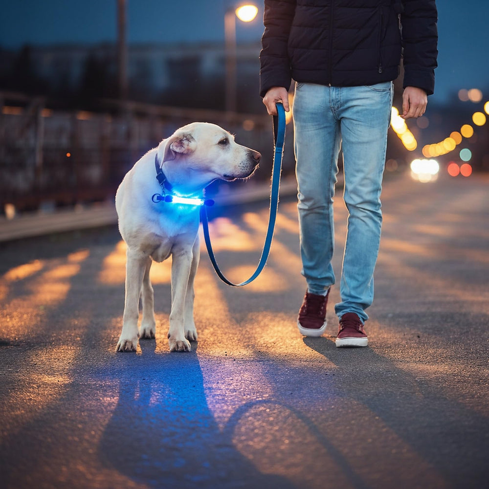 Fashion&cool Velcro dog light strip is flexible and waterproof for outdoor adventures.
