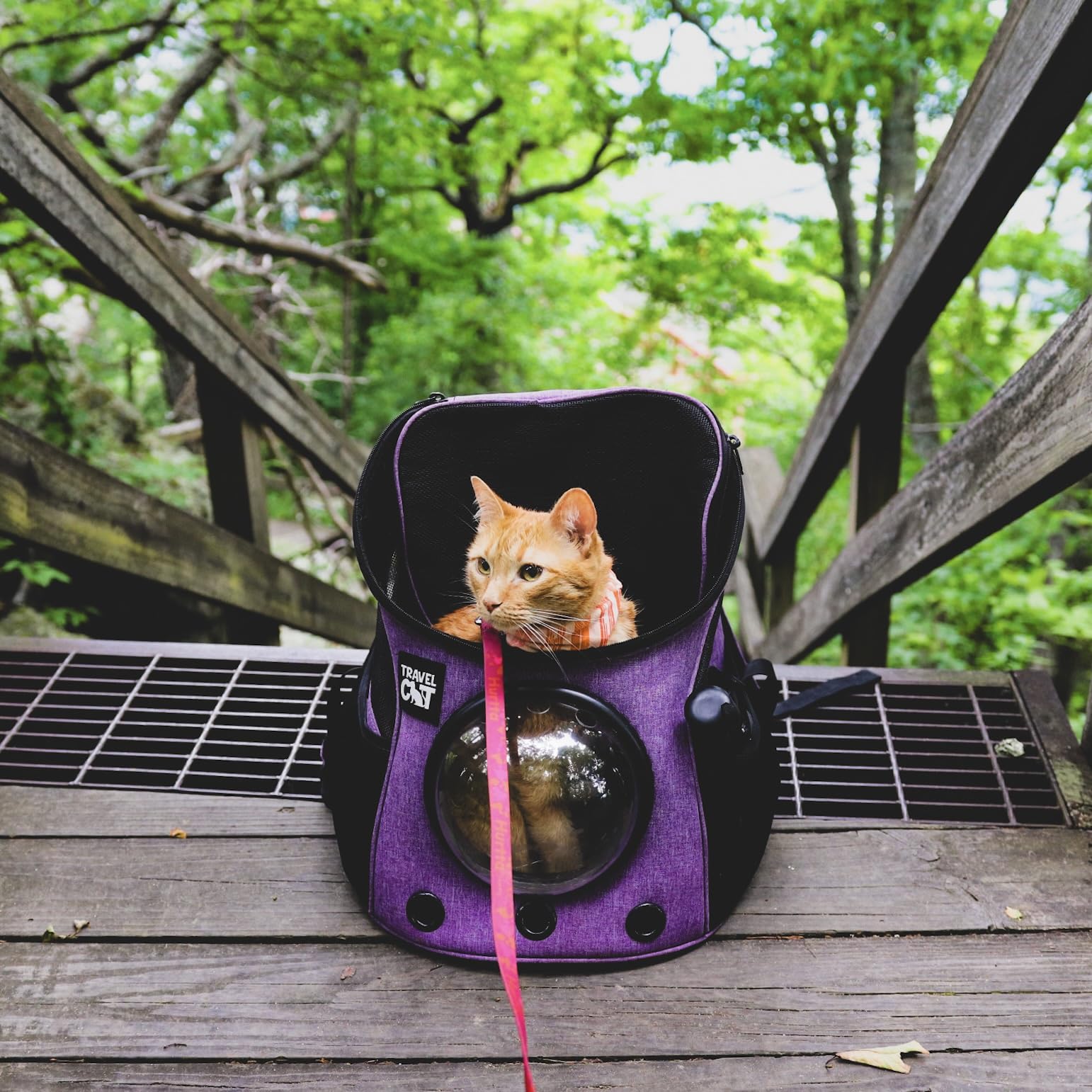 Fat Cat carrier adjustable shoulder straps for comfortable carrying.