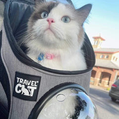 The Fat Cat carrier ventilation mesh emphasizes breathable comfort during warm travel.