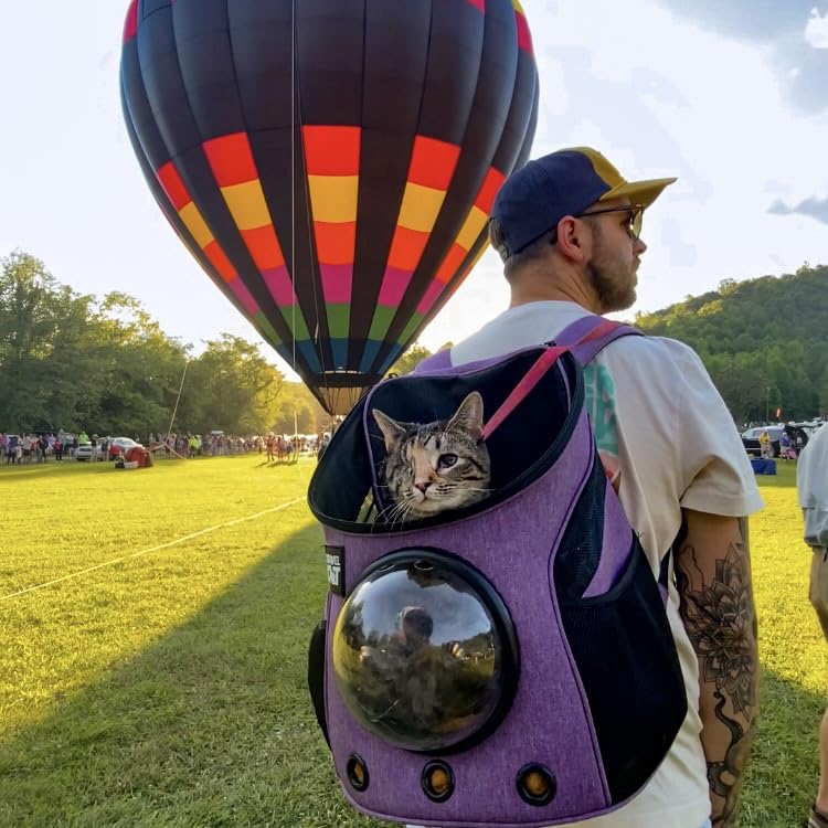 Fat Cat leash clip secures your cat inside during adventures.