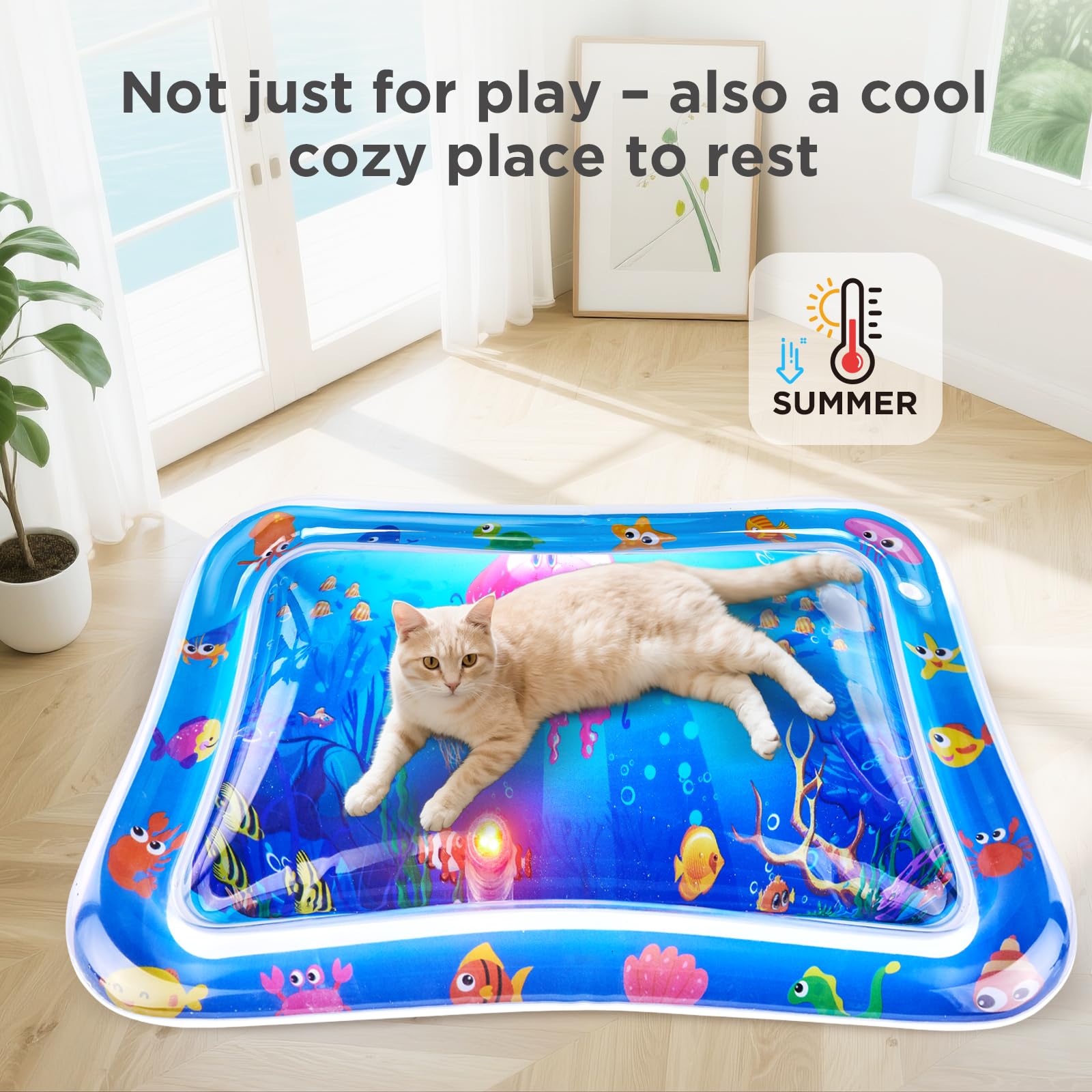 FATBEE water mat easy setup and quick cleanup after use