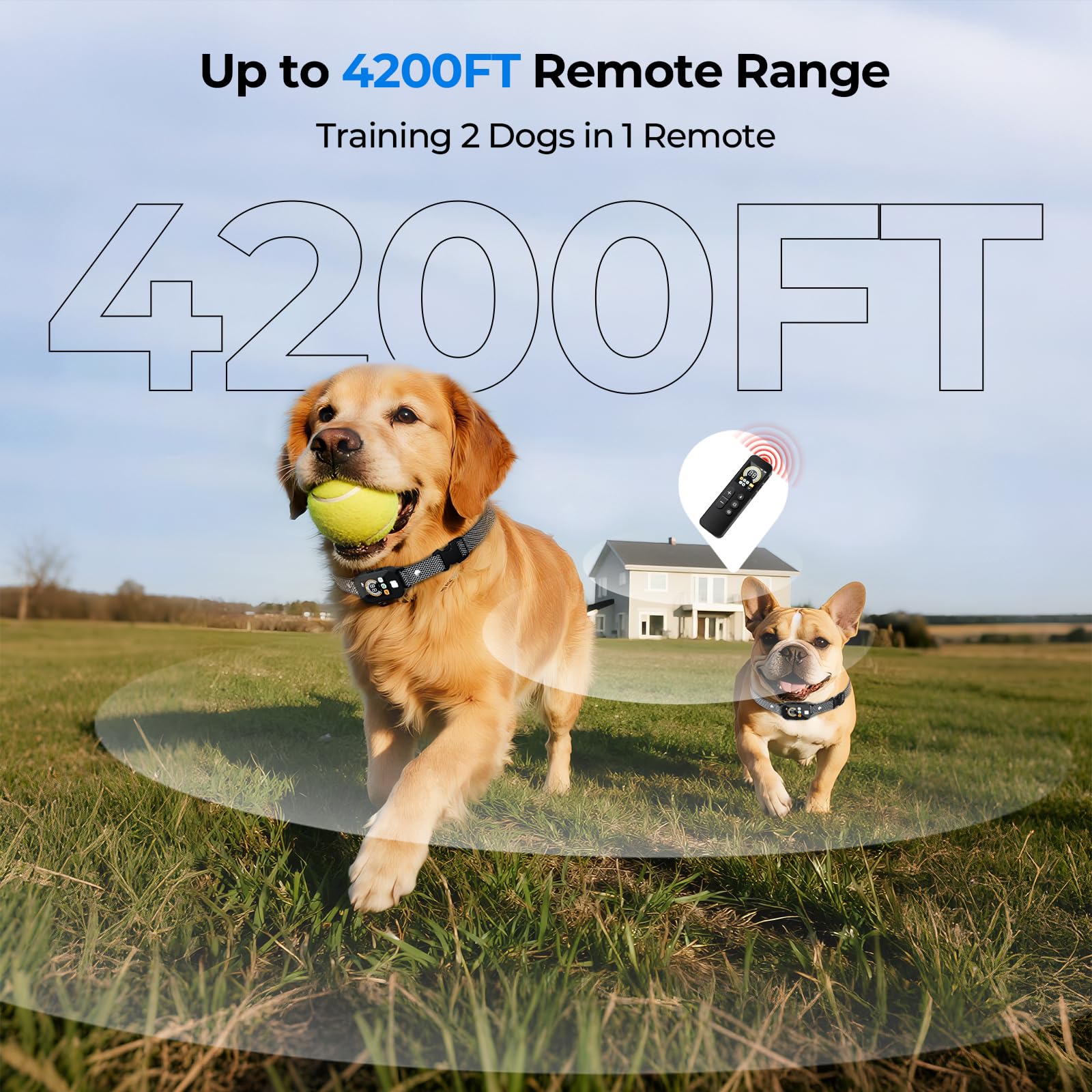 Fatjopet two-dog collars worn together for coordinated training with one remote.