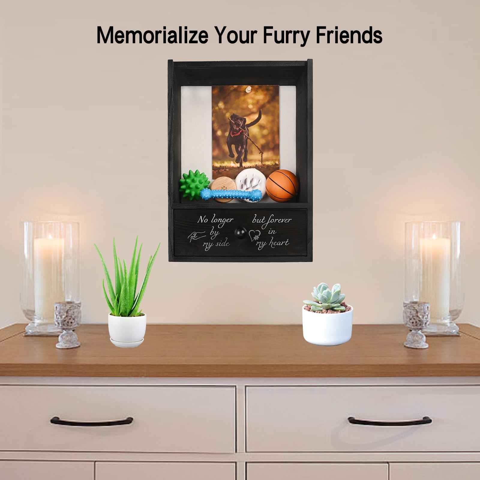 Favonuovy pet memorial shadow box inscription visible on the drawer.