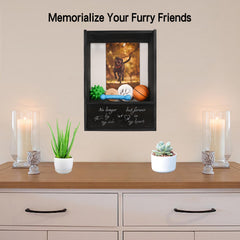 Favonuovy pet memorial shadow box inscription visible on the drawer.