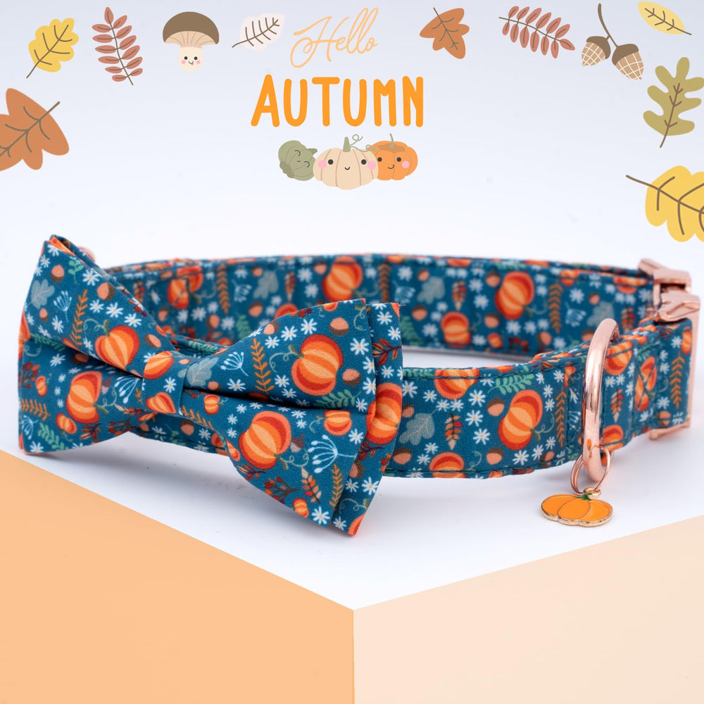 Faygarsle orange cotton dog collar closeup highlights soft material and comfy wear.