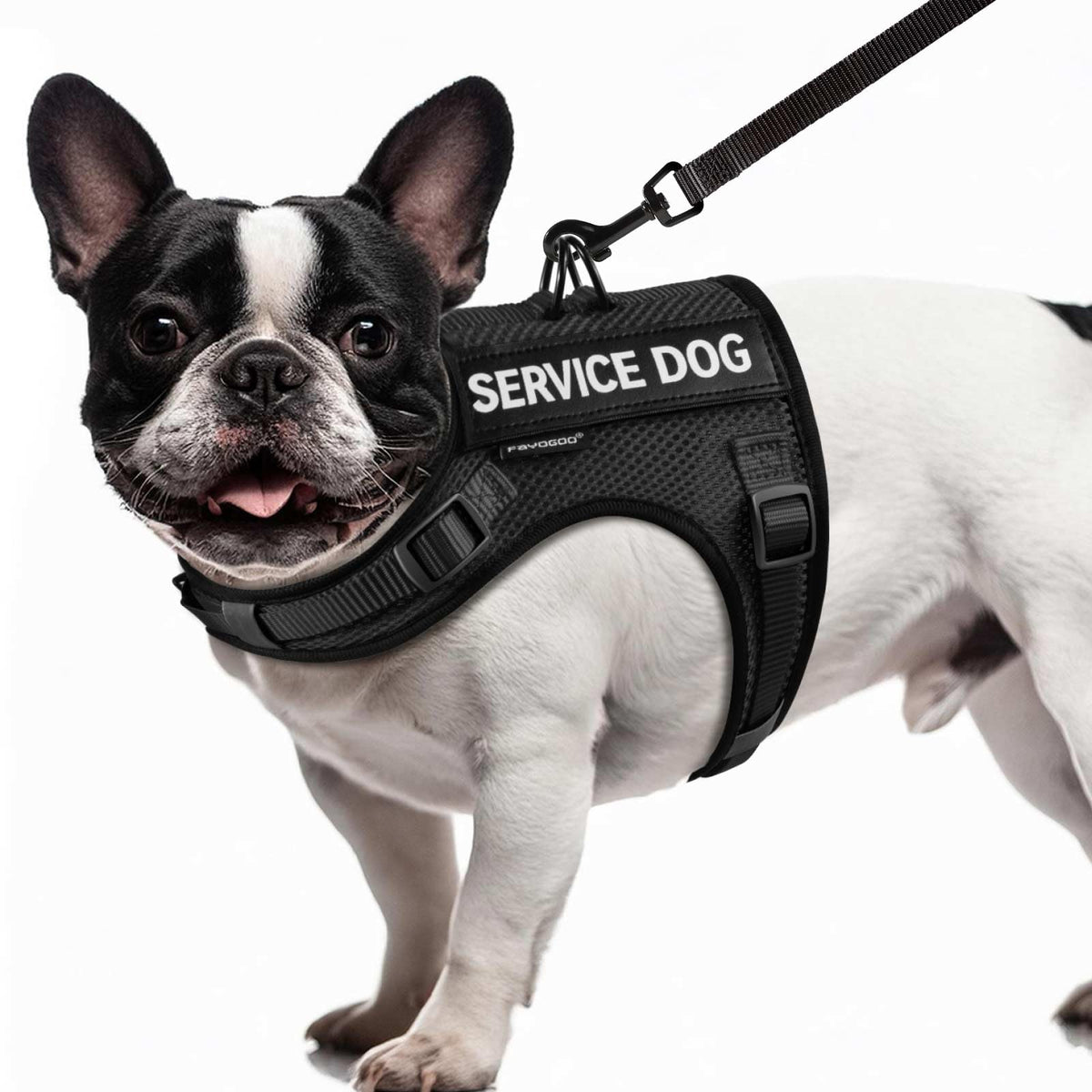 FAYOGOO arnés para perro pequeño con malla de aire, cómodo en paseos cálidos